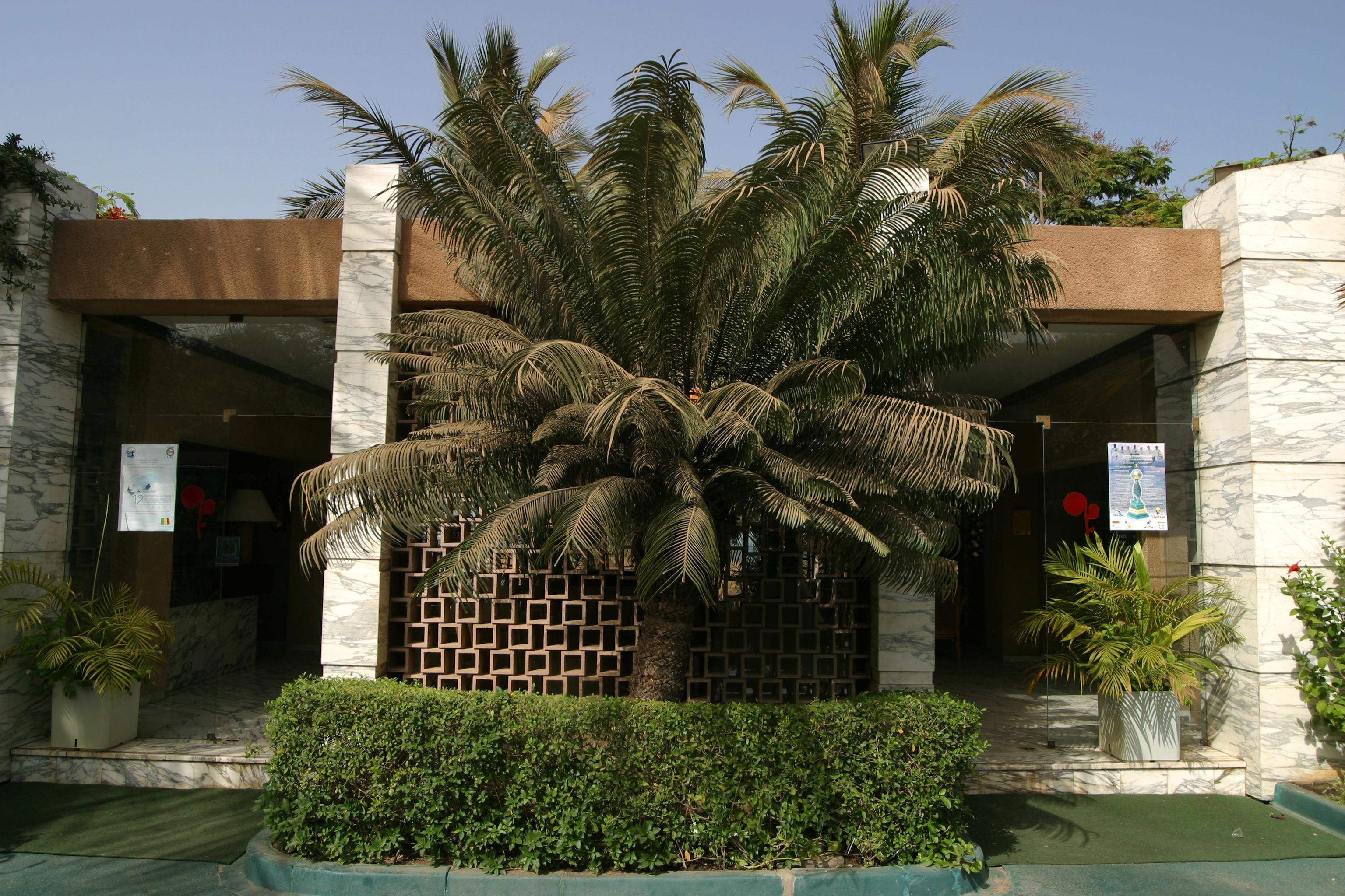 Hotel Jardin Savana Dakar Exterior photo
